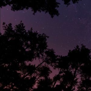 Meet your Posher, Lanissa